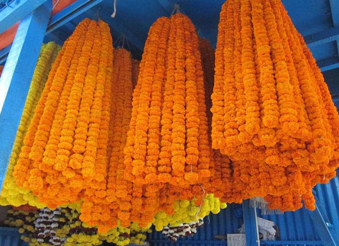 Bengal Despatch 2 & 4 The Holy Ganges 04_1100x800