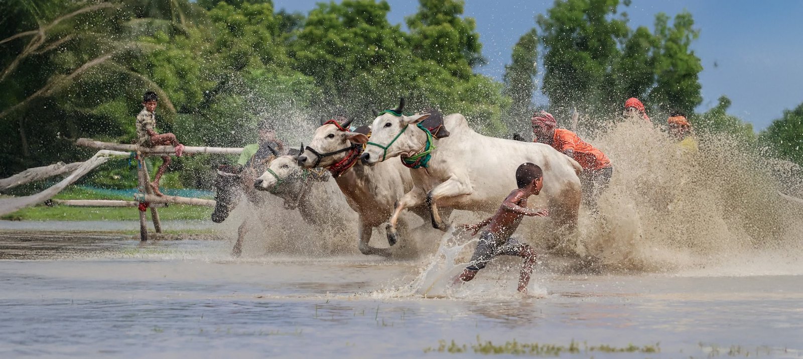 Bengal-Despatch-5-The-Historic-Hoogly-(lower-Ganges)