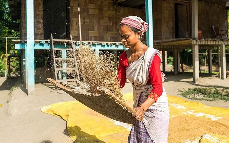 Brahmaputra Maximum800-02