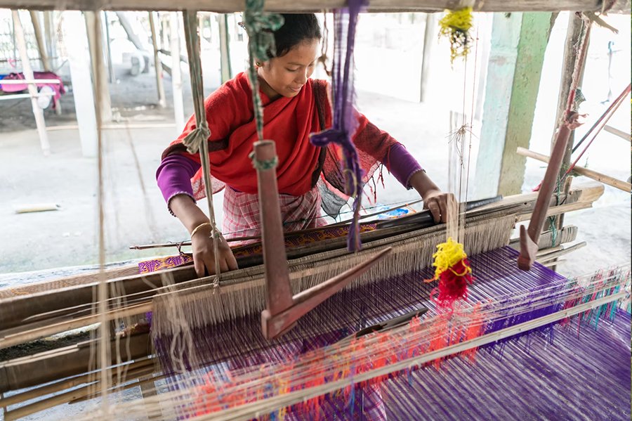 Brahmaputra Taster 04