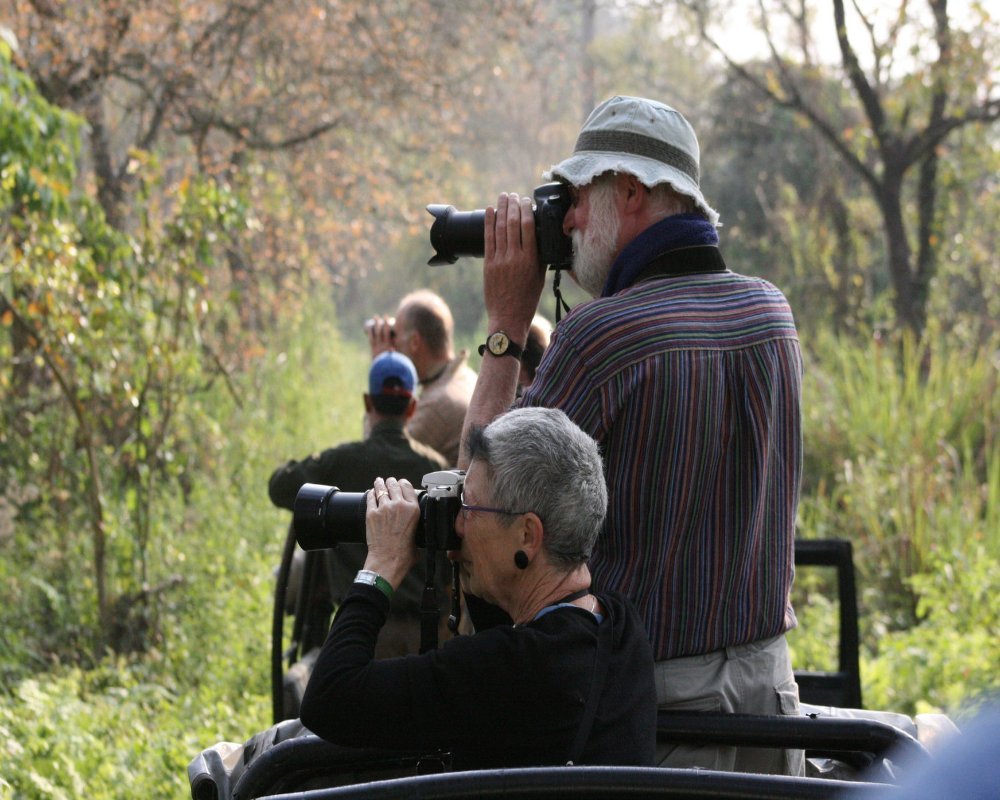 Silk & Rhinos_2_1000x800