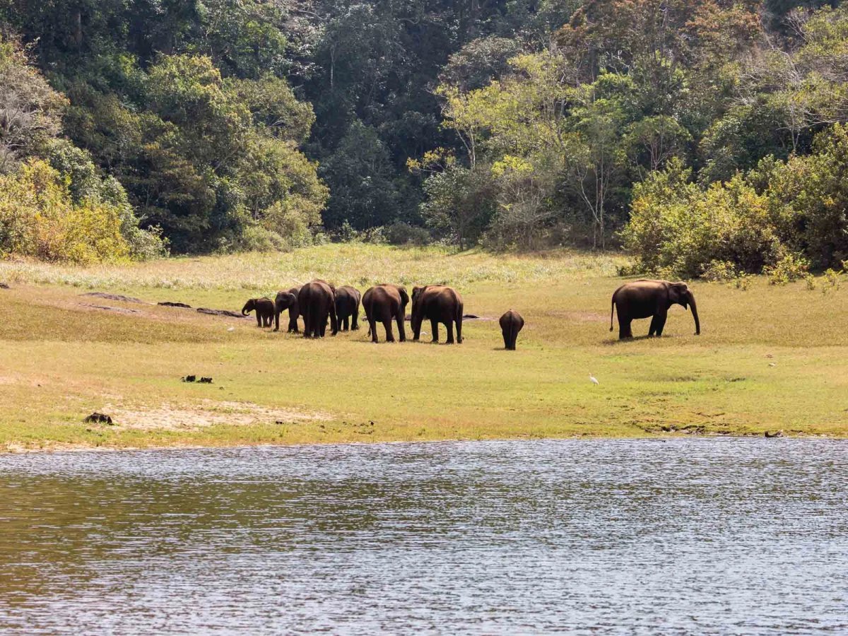 All-Inclusive Kerala Backwater Packages: Crafted for a Serene Luxury Experience