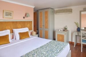 Cruise Ship Amenities in India: A Journey Through Luxury and Tradition