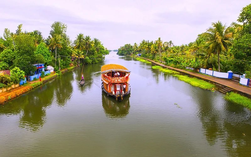 Kerala Honeymoon Houseboat: A Curated Guide to Romantic Backwater Odysseys
