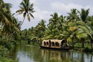 Kochi India Weather in 2026: A Monthly Guide for the Discerning Traveler