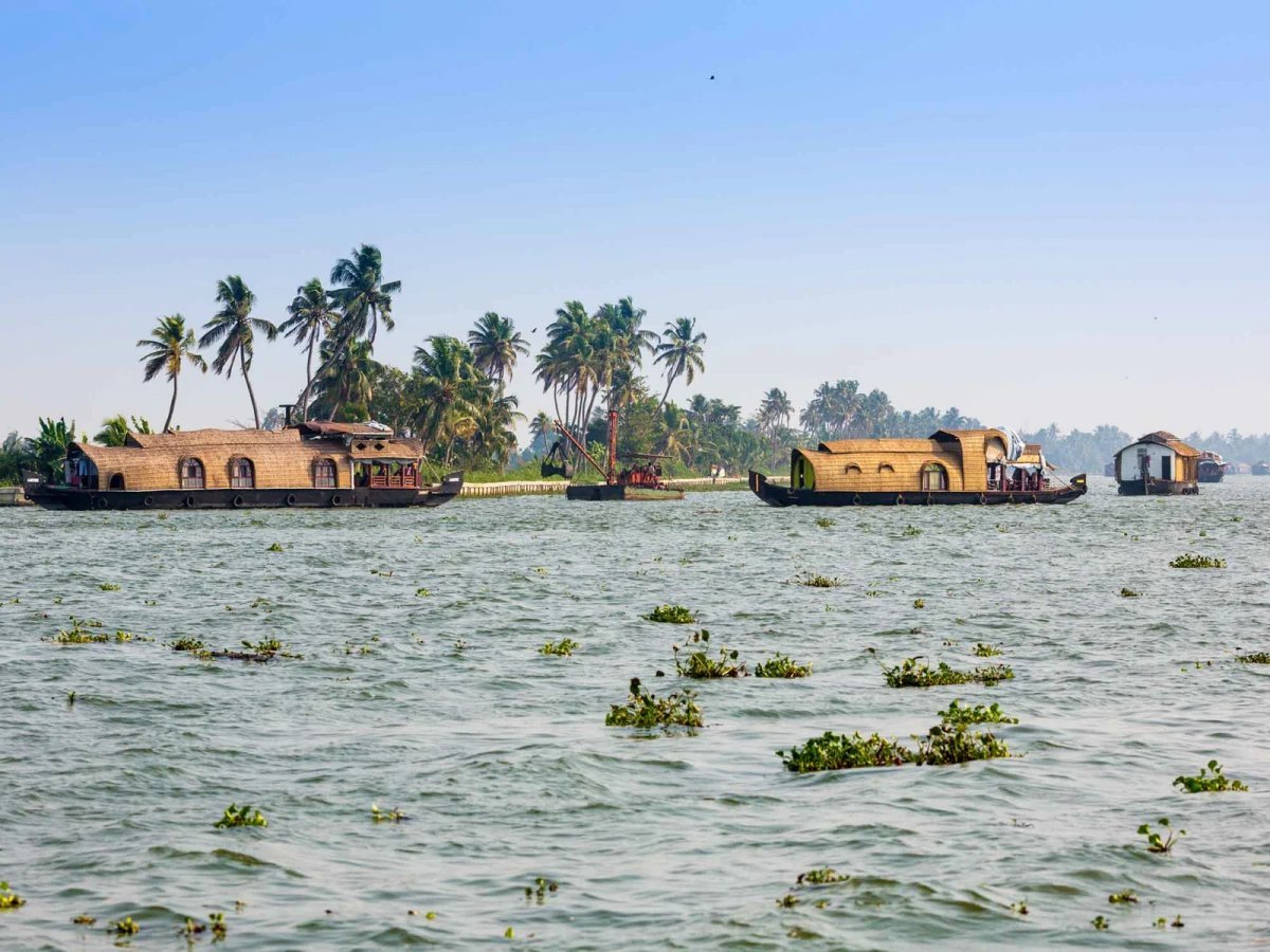 Understanding Chenganda Coir Harvesting in Kerala